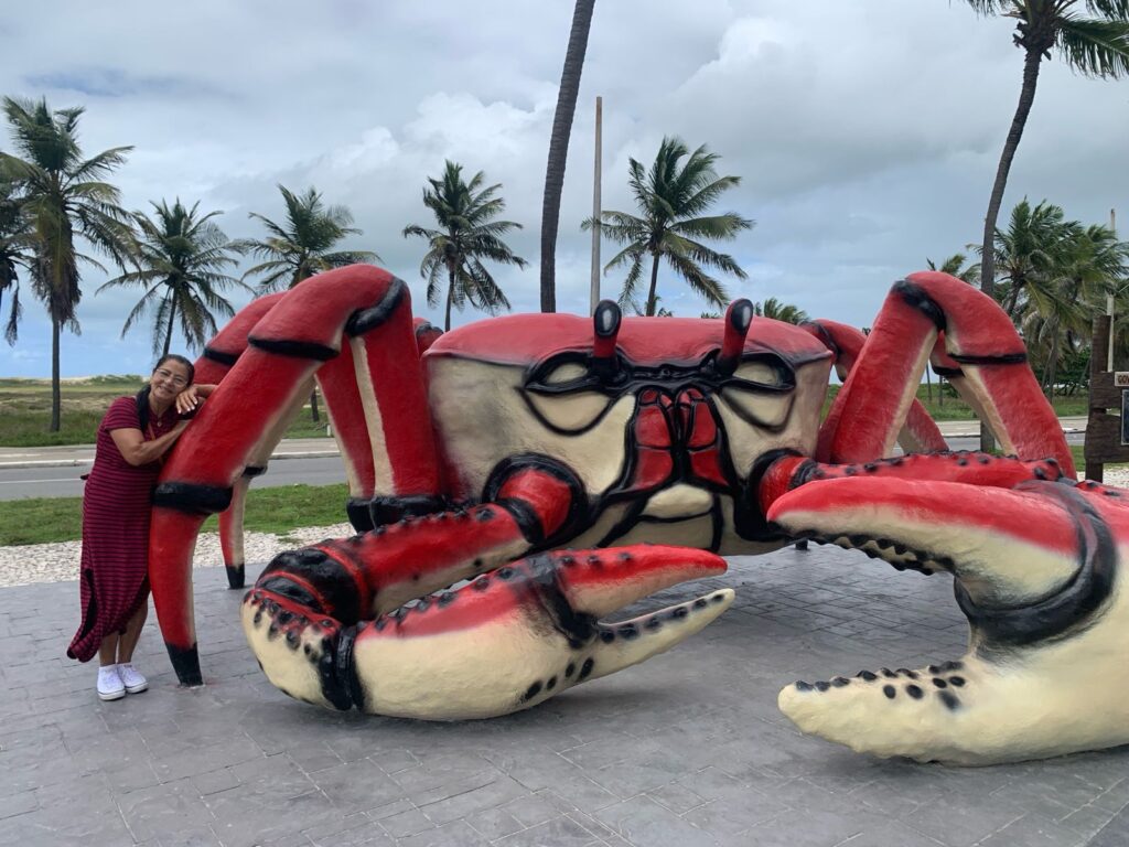 Caranguejo da Orla de Aracaju